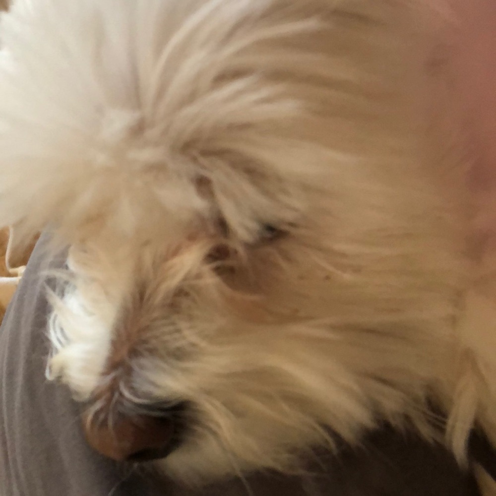 Meet your Posher, Angella